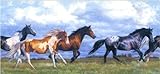 York Wild Horses