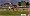 FIFA Soccer 09