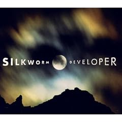 Developer