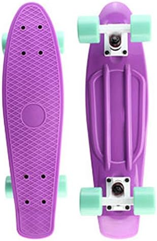 Focus Boards 22 Inch Plastic Skateboard Urban Retro Cruiser (Purple-white-pastel Blue)
