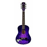 Disney Child Sized Acoustic Guitar (30-Inch, Tinkerbell Themed)