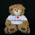 Plush Stuffed Lion (Sighin' Lion) toy with I Love Ezechiel t-shirt