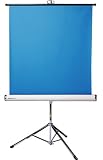 HAKUBA �o�b�N�X�N���[���X�^���h�^�C�v ����180cm �u���[