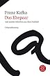 Franz Kafka Gesamtwerk - Neuausgabe: Das Ehepaar: und andere Schriften aus dem Nachla�