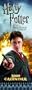 Official Harry Potter Slim Calendar 2009