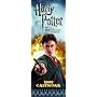 Harry Potter 2009 Slim Calendar