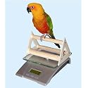 Redmon Bird and Small Animal Digital Pet Scale