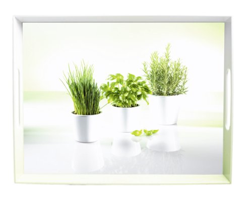 Imagen 2 de Emsa 505549