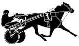 Trotter - 24