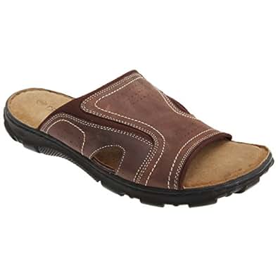 download g k chesterton blooms modern critical views