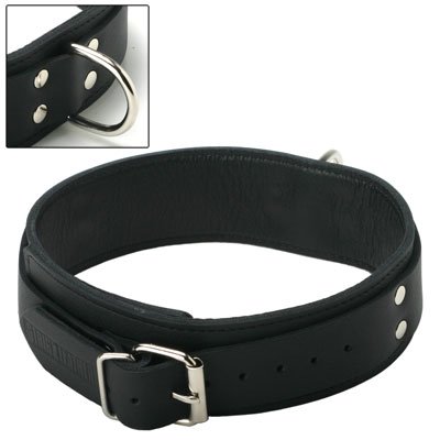 1.5 Wide Lined Leather Collar