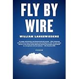 fly by wire the geese the glide the miracle on the hudson