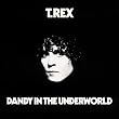 Dandy In The...