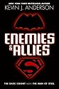 Enemies & Allies: A Novel