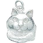 silver cat face charm
