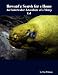 Howard's Search for a Home: An Underwater Adventure of a Moray Eel