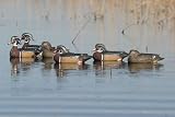 GHG Pro Grade Life Size Wood Duck Decoys