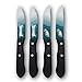 Sports Vault NFL Philadelphia Eagles Steak Knive Set