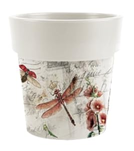 empfehlen facebook twitter pinterest eur 3 75 eur 4 90 versandkosten