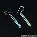 Paua (Abalone) Shell Long Segmented Hook Earrings