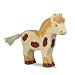 Pony