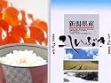 新潟県産 白米 北陸 越後の米 こしいぶき 10kgx1袋 23年産