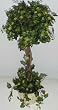 22" Curly Ivy Topiary
