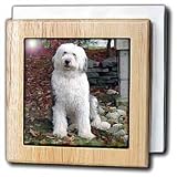 Old English Sheepdog - 6 Inch Tile Napkin Holder