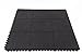Incstores Evolution Rubber Floor Tiles – Equipment Mats, Gym Flooring and Utility Floors (Center Tiles, Sold Individually)