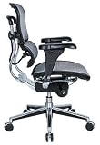 Eurotech Mid Back Mesh Task Chair - Ergohuman Mesh ME8ERGLO