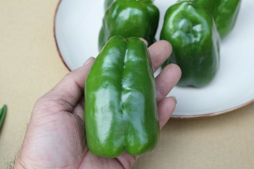 【沖縄野菜】ピーマン約300ｇ
