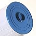 Baleen Filters 80 sq. ft. Pool Filter Replaces Unicel C-8380, Pleatco PSD85-2002, Filbur FC-2810-Pool and Spa Filter Cartridges Model: AK-70031
