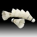 6PCS White Feather Shuttlecocks Badminton