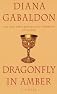 Dragonfly in Amber
