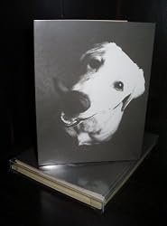 Talk to the Paw! Greeting Cards - Live, Love, Rescue