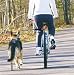 PetEgo Walky Dog Bicycle Leash