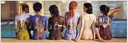 Pink Floyd - Door Music Poster (The Back Catalog) (Size: 63'' x 21'')