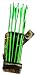 Sporting Goods : Viper Crossbow Bolts 20in 6 Pack