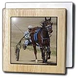 Cassie Peters Photography - Harness Racing - Tile Napkin Holders