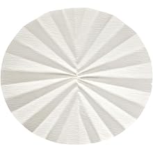 Whatman 10331653 Quantitative Folded Filter Paper, 15-19 Micron, Grade 520B II-1/2, 320mm Diameter (Pack of 50)