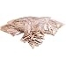 Porter-Cable 5552 20-by-52-Millimeter No. 10 Biscuits, 1,000-Pack