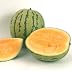 David's Orange Hybrid Seedless Watermelon Orange Sweet 8 Seeds per Packet