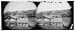 Antietam, Maryland. Antietam Bridge, eastern view Reprint (19 x 8 inches)