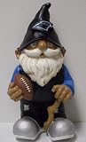 Carolina Panthers 8 Inch Mini Garden Gnome