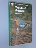 The life of the robin