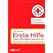 HITS : TEPPICHRATTEN (1)
