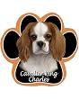 Cavalier King Charles Dog Paw Mouse Pad