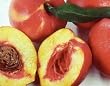 Double Delight Nectarine Tree Potted Five Gallon