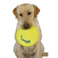 Dogobie Flying Disc