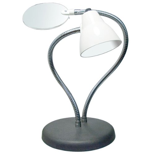 BIG EYE 2 Arm Combination High Intensity Lamp and 2X On Sale